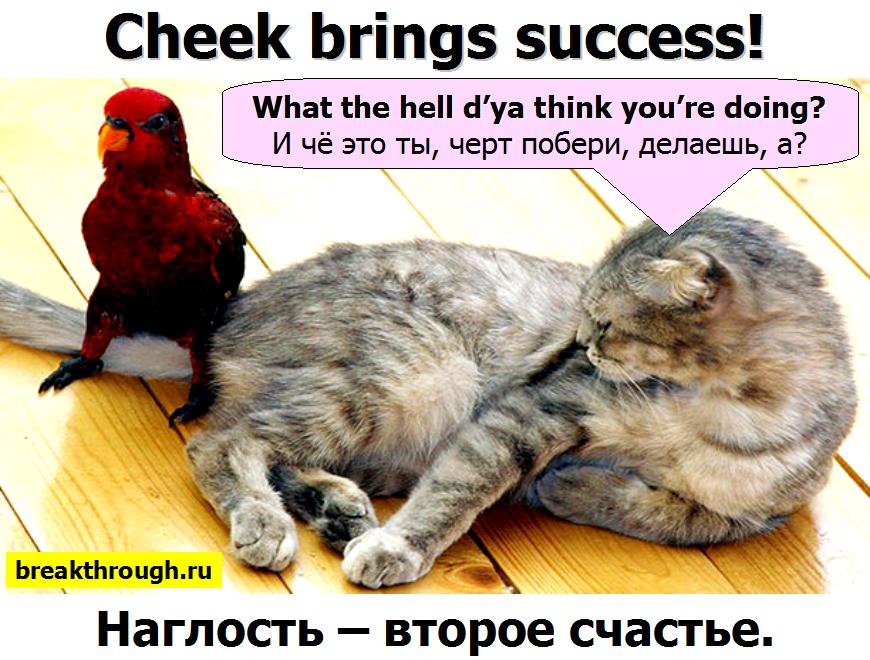 Наглость Второе Счастье Картинки