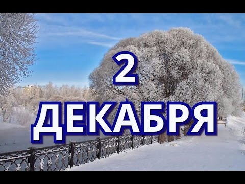 Зимний лес