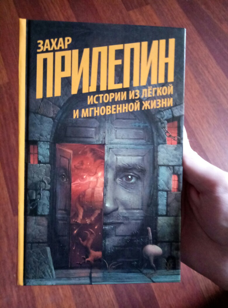 О книге Истории из лёгкой и мгновенной жизни