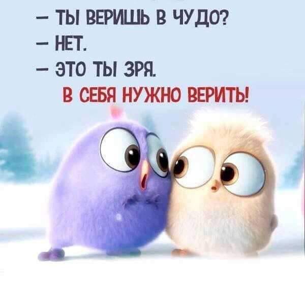 Не ждите чуда...