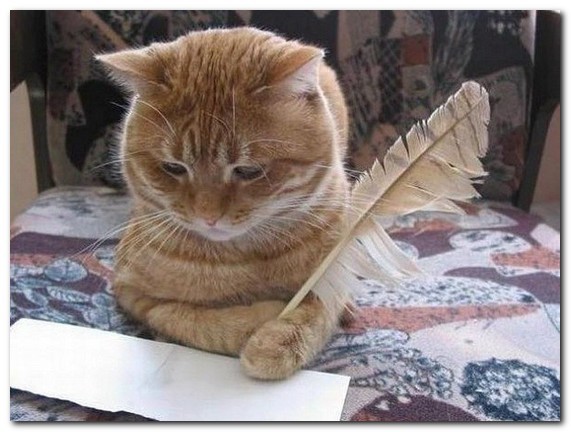 Графоманство, графоманство...