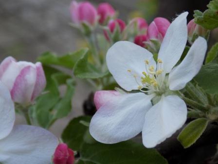 Всё еще волнуюсь