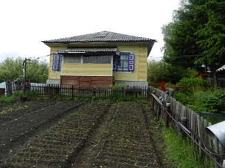 Удивительная грядка