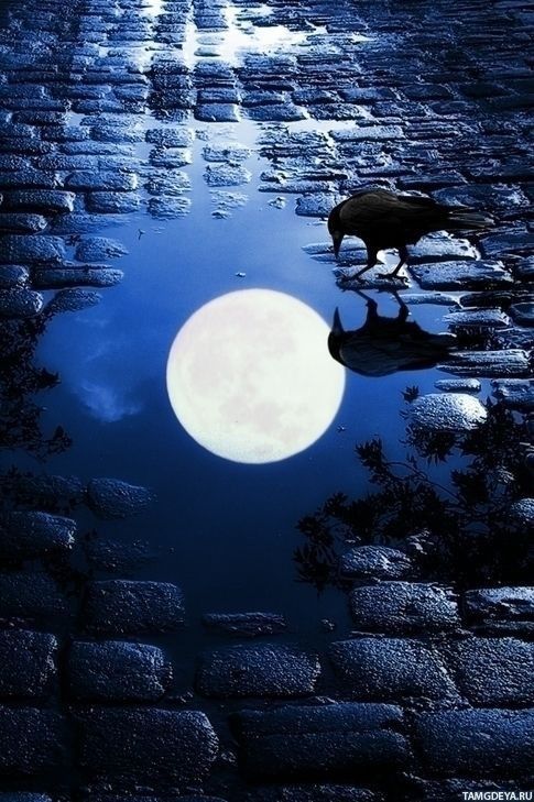 Небесная лужа