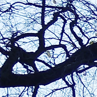 Хочу прыгнуть