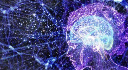 Наш мозг придумывает сам