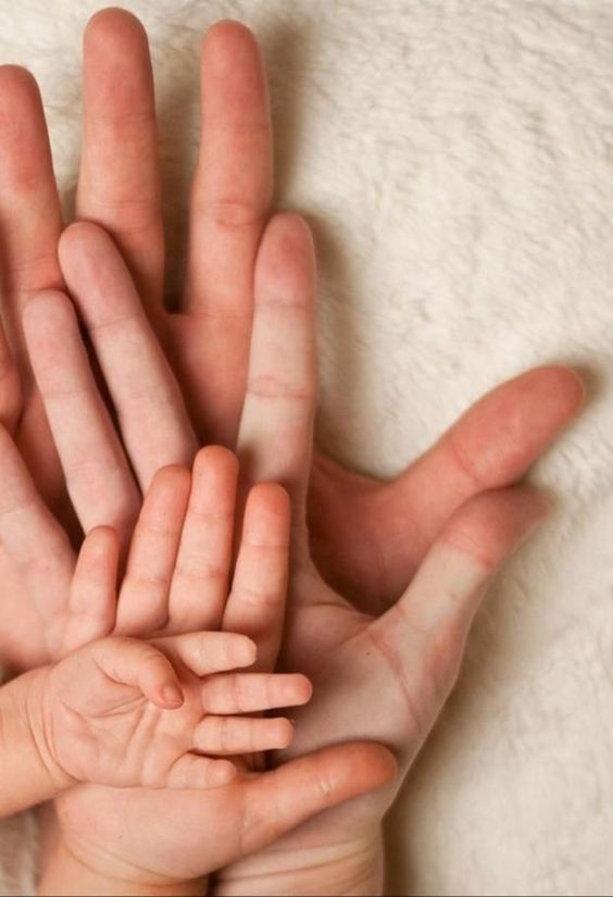 Дом, дерево и дочка