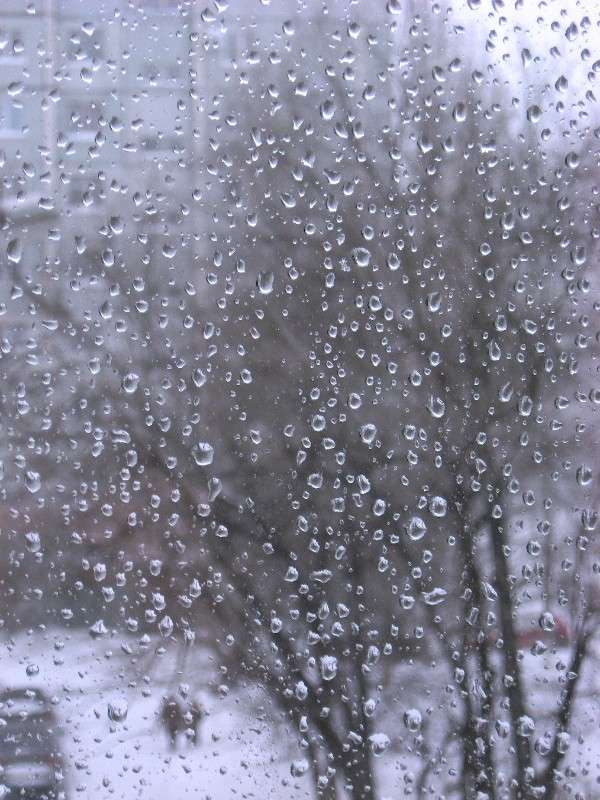 Слёзы Декабря