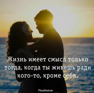 Суть жизни