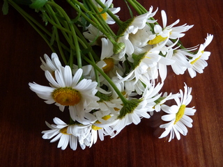 Я никого так не любила