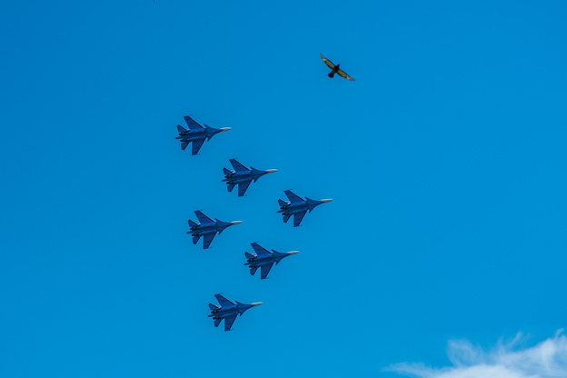 Это птицы людей научили летать