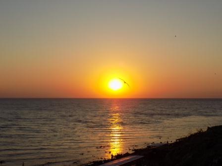 Плыви, плыви корабль. Веселинка Стойкович