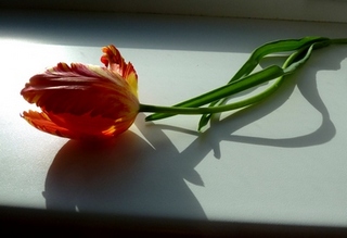 В шутку и всерьез