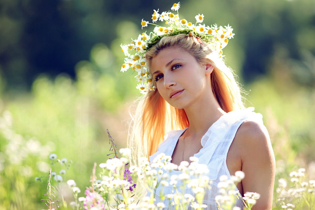 Не плачь гармошка