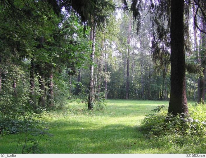 И смотрит Бог на нас с небес...