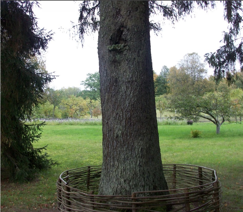 деревенский домик. палисад деревня кусты. живопись палисадник деревня живопись. на околице села михайловского почти возле калитки. река изгородь деревня лето.