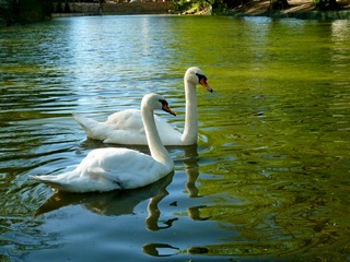 Нет, не хочу судьбу иную