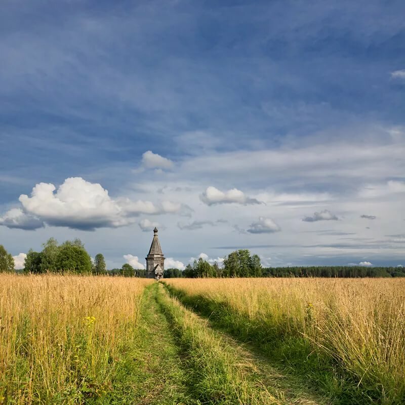 Здесь небо ниже, чем обычно (Роман Бамбуров) / Стихи.ру