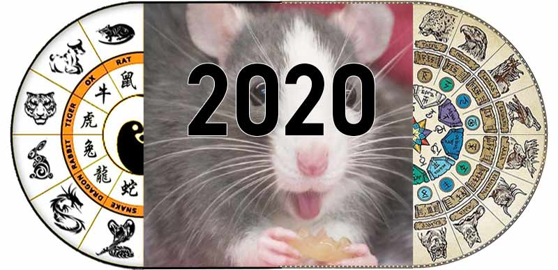 Знак зодиака 2020 года по гороскопу. 2020 Год кого. 2020 Год какого животного по гороскопу. Год какого животного был 2020. 2020 Год животного.