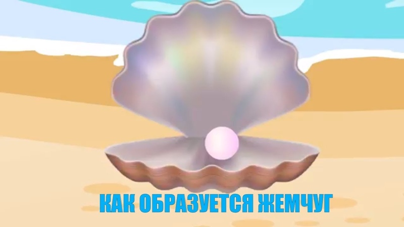 Минутка - жемчужина