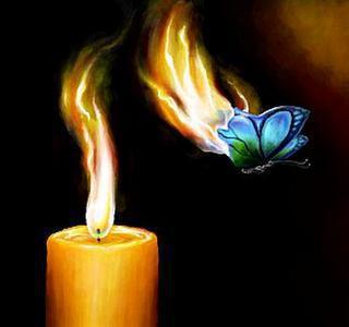 Экс о мотыльках