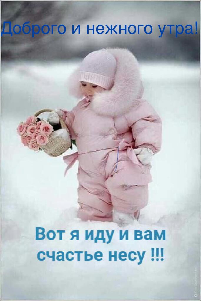 Зоренька кохана, ластонька моя (Анжелика Вавилова) / Стихи.ру