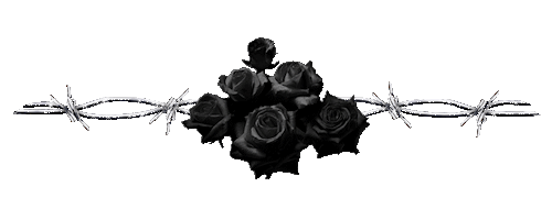 Я молодость оставил...