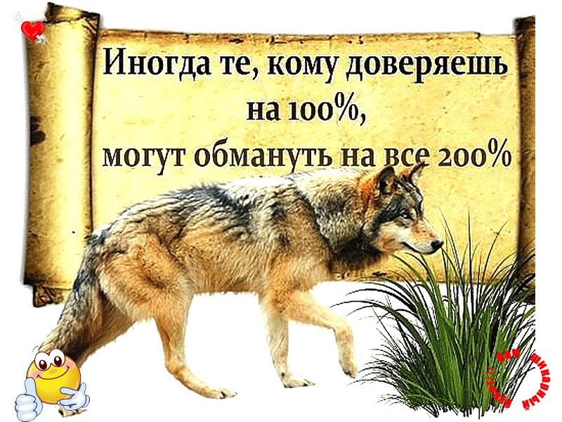 Не верь никому картинки со смыслом