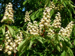 Неподдельное искусство