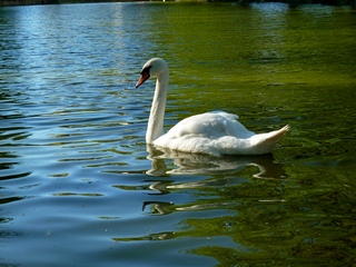 Первый день без тебя...