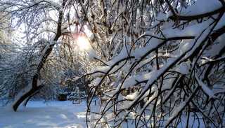 День рождения зимы - 1. 12. 19