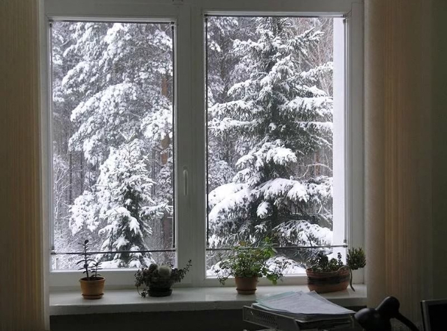 В окно гляжу