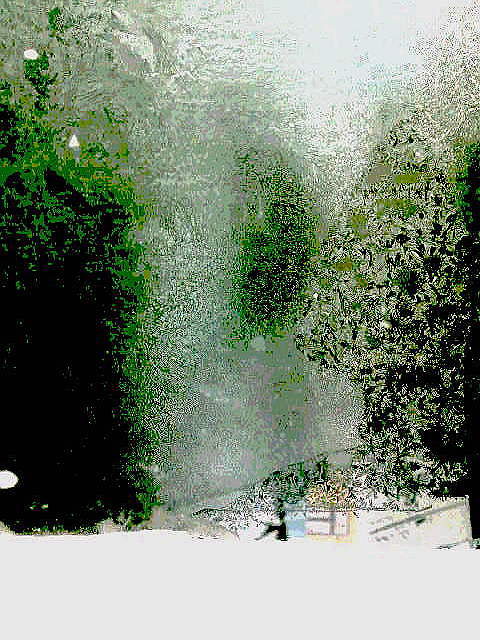 Забытые года