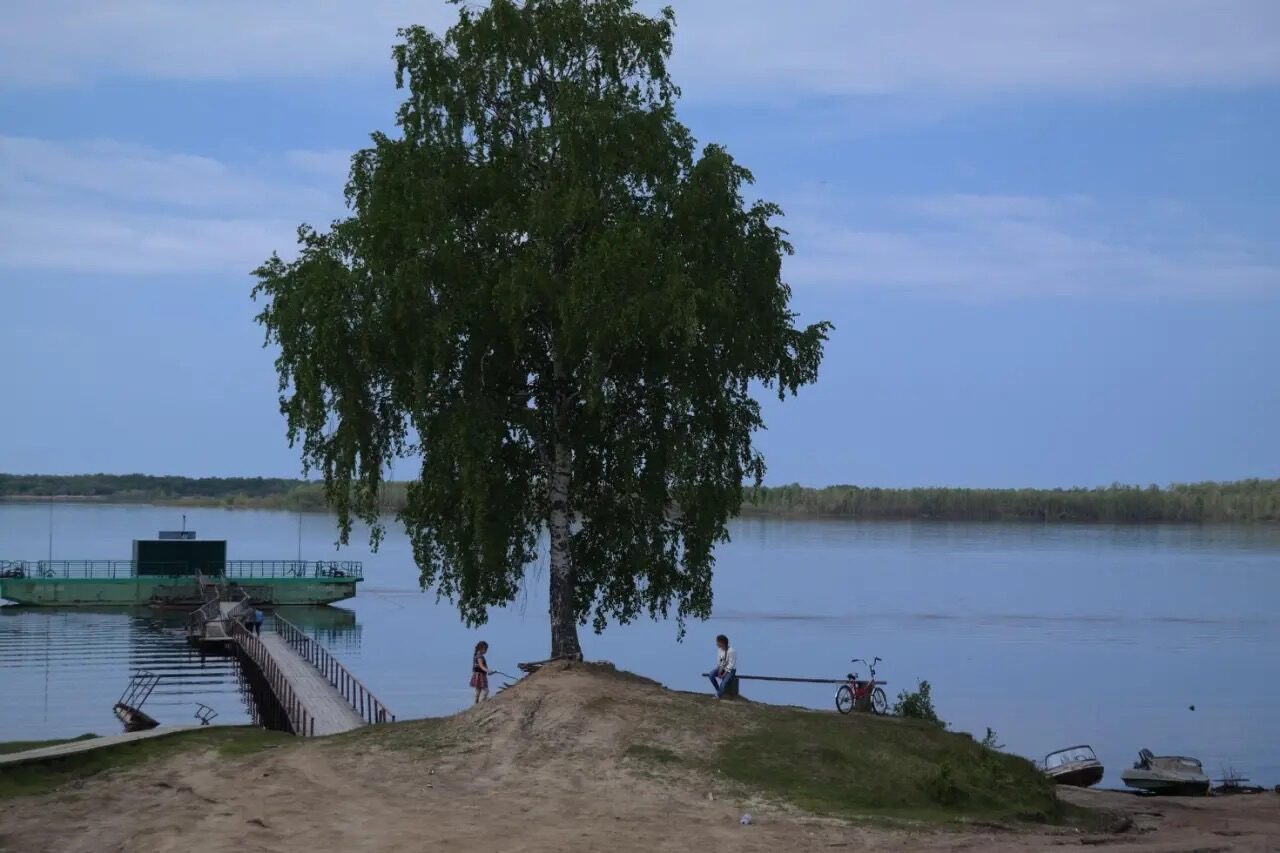 Стоишь раскинув ветви