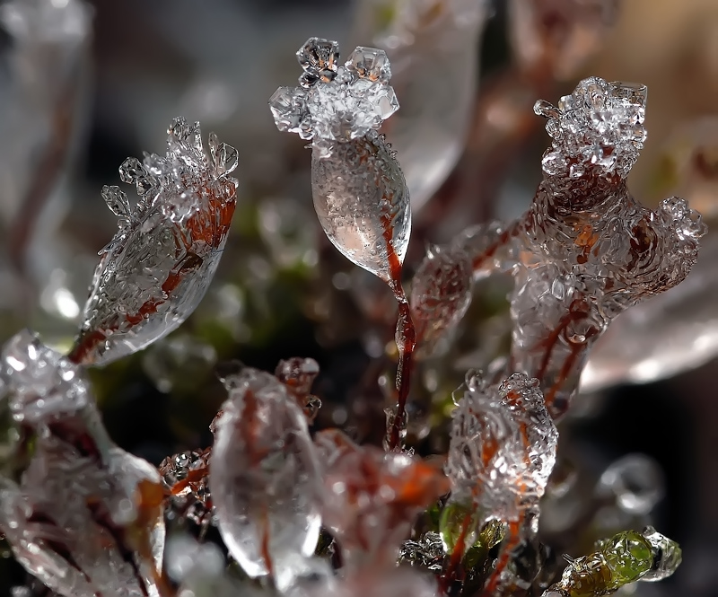 Погода - властный генерал