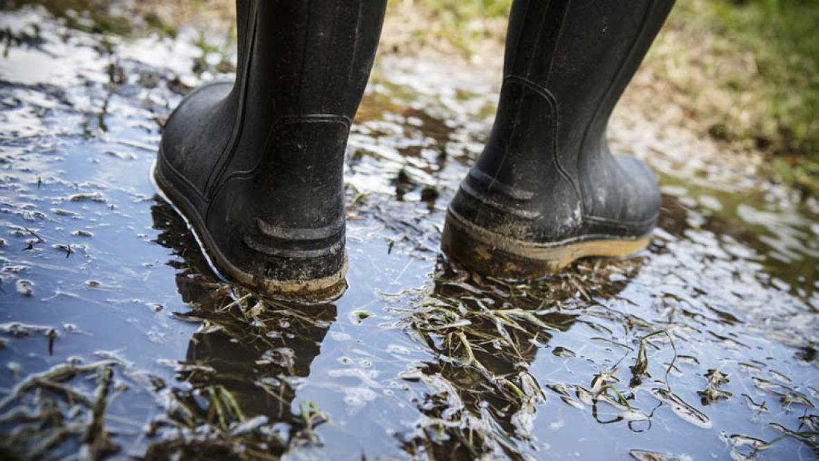 Я уже в галоши влез