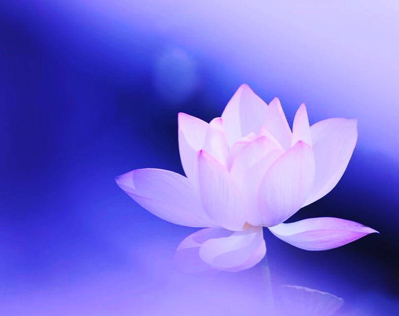 Каждый день, это новый виток