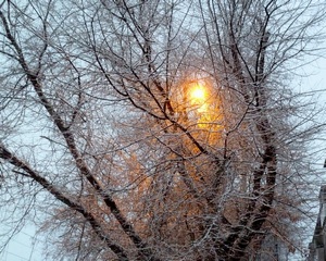 Последняя ночь