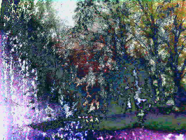 Туман сошёл - упали сгустки ночи