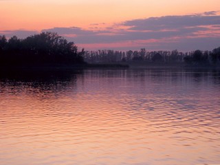 Как жаль, что безуспешно