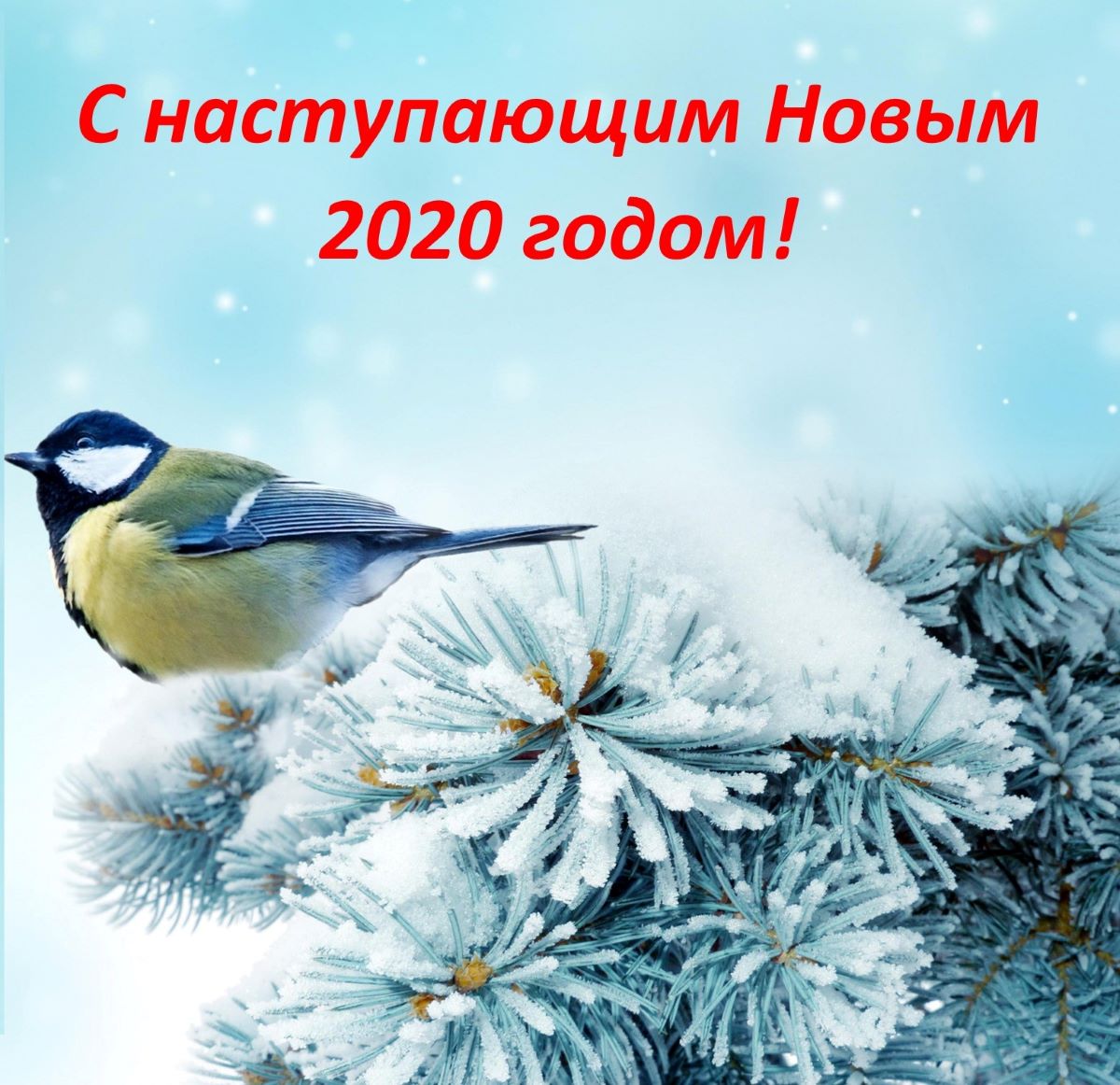 Друзьям на Новый год!