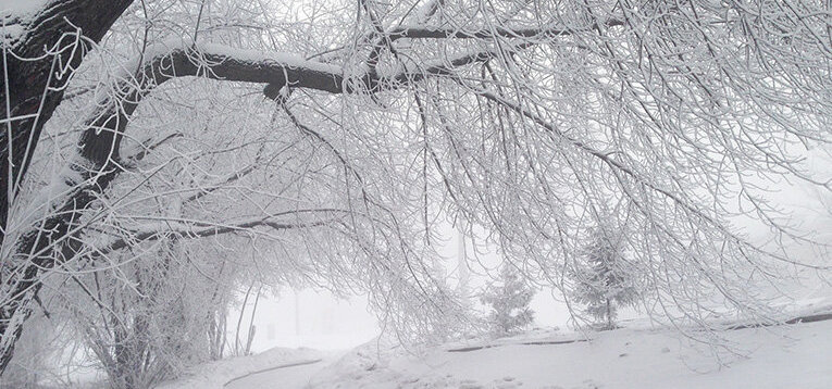 В объятии твоей души