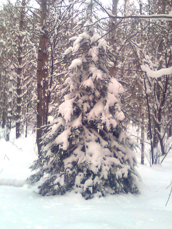 30 декабря 2019