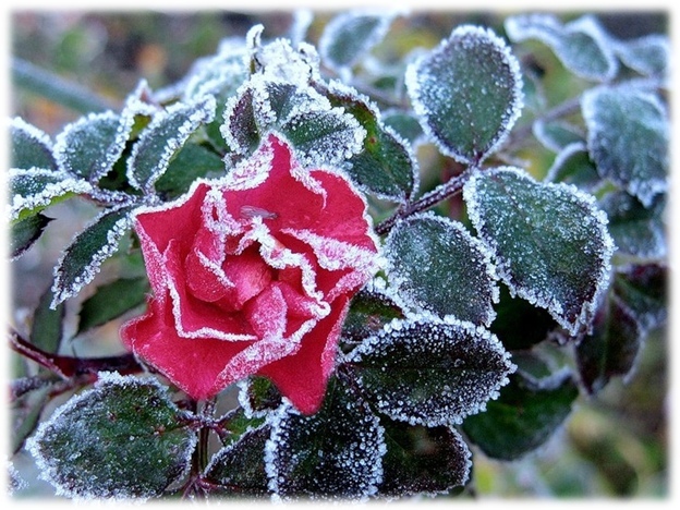 Не знаем мы, что ждёт нас впереди...