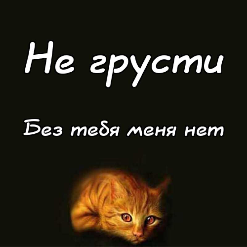Картинки Без Тебя Нет Жизни