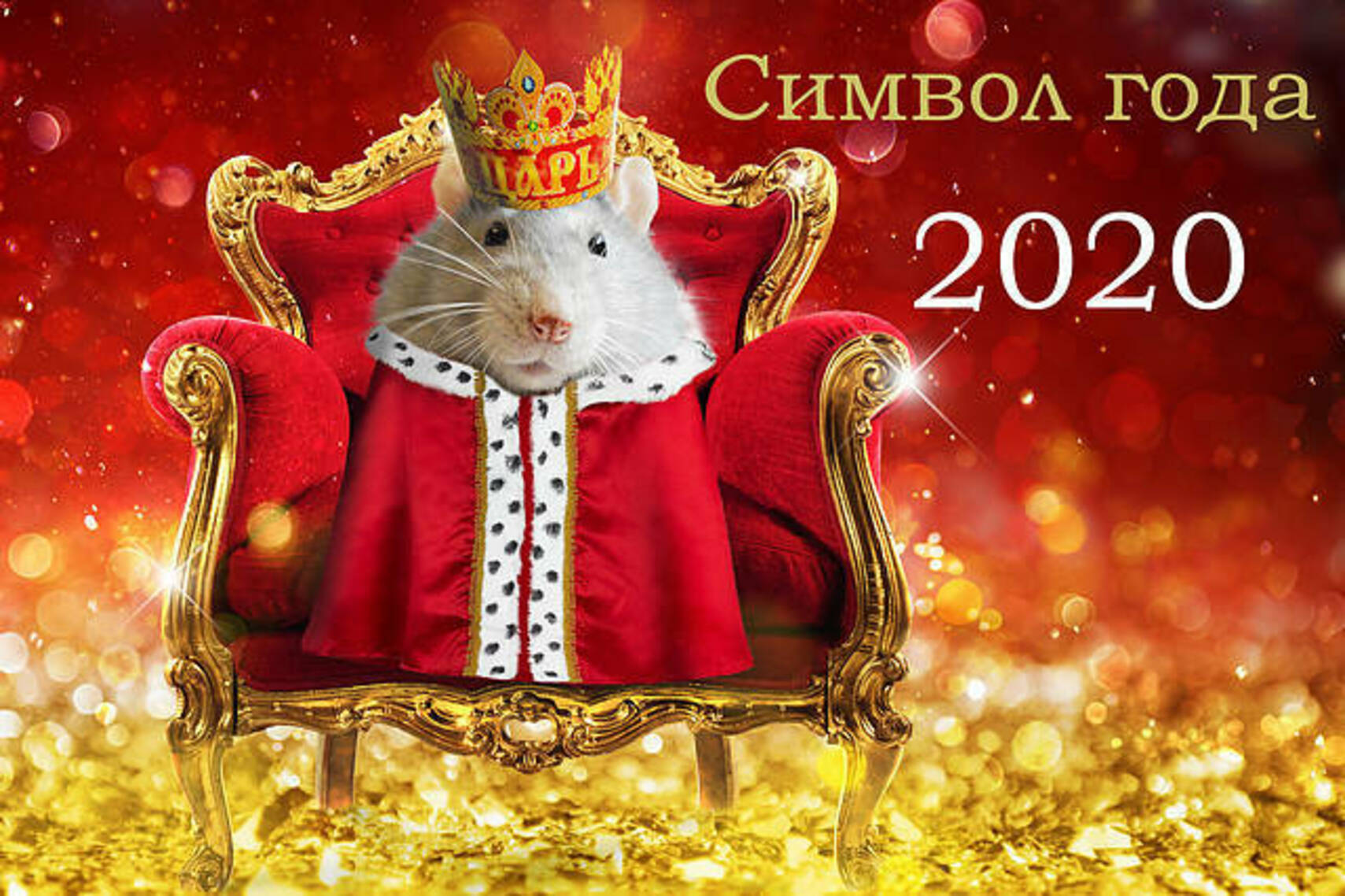 Год Белой Крысы 2020 Картинки