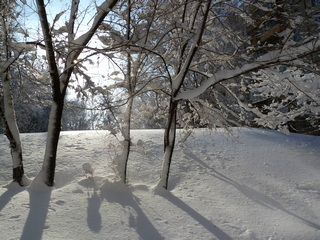 Прощальный флирт зимы