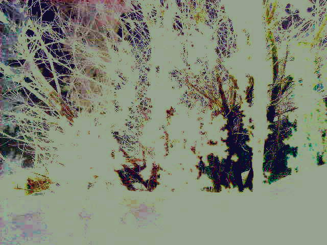 Судьба оставит острый след