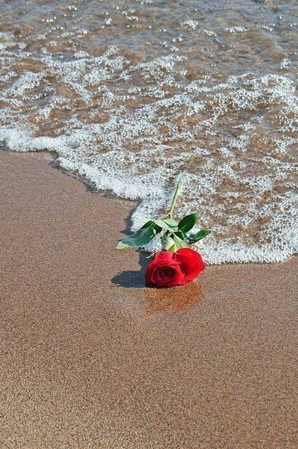 наша гордыня слепа...