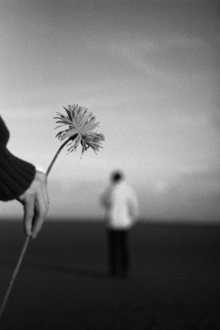 Прощай-Прощаю